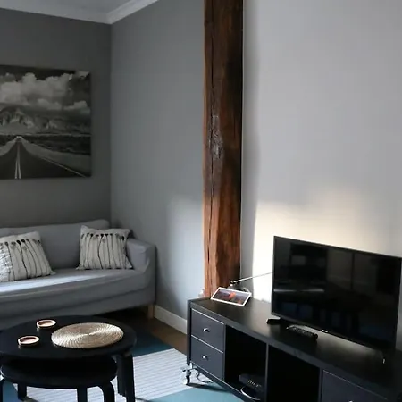 公寓 Apartamento Duque De Mandas 圣塞瓦斯蒂安